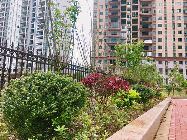 多城市下調住房交易稅費,對樓市直接影響不大